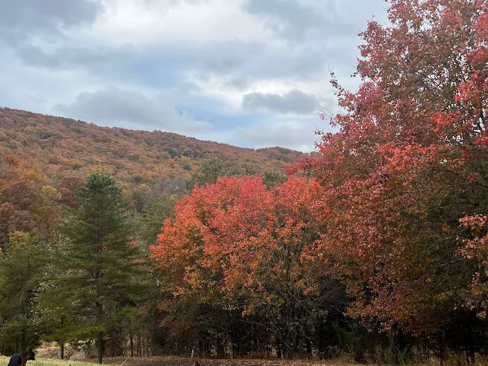 Heavenly Hills Nature Retreat - Banks Farms Campground Resort Picture 7