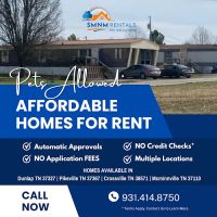 McDowell's mobile home park ico