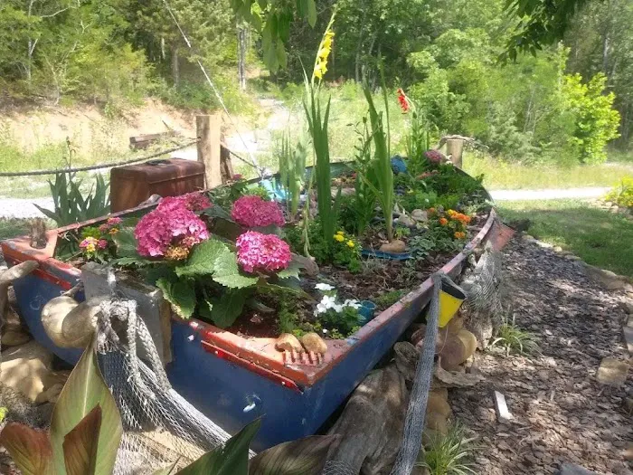 Douglas Driftwood Lakefront Campground RV Park Picture 5