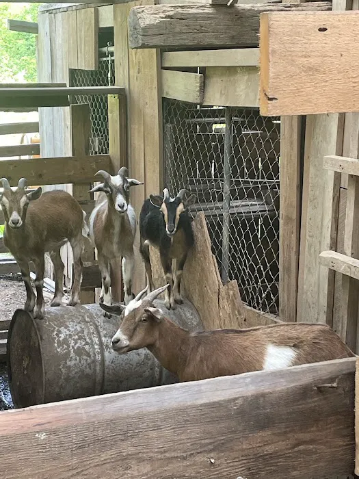 Daisy’s Farm and Campground Picture 5