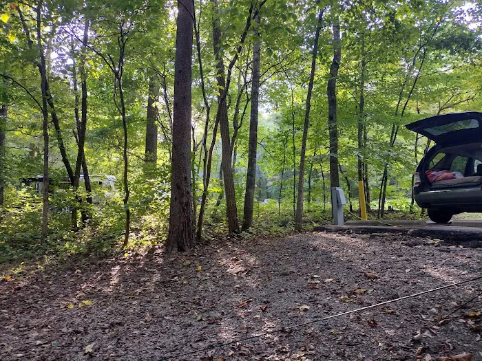 Cumberland Gap Wilderness Road Campground Picture 5