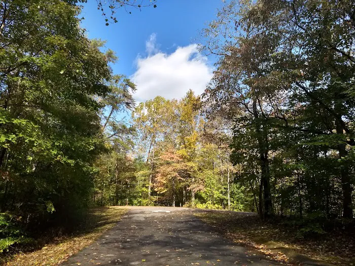 Cumberland Gap Wilderness Road Campground Picture 1