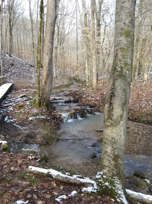 Cumberland Gap Wilderness Road Campground Picture 6