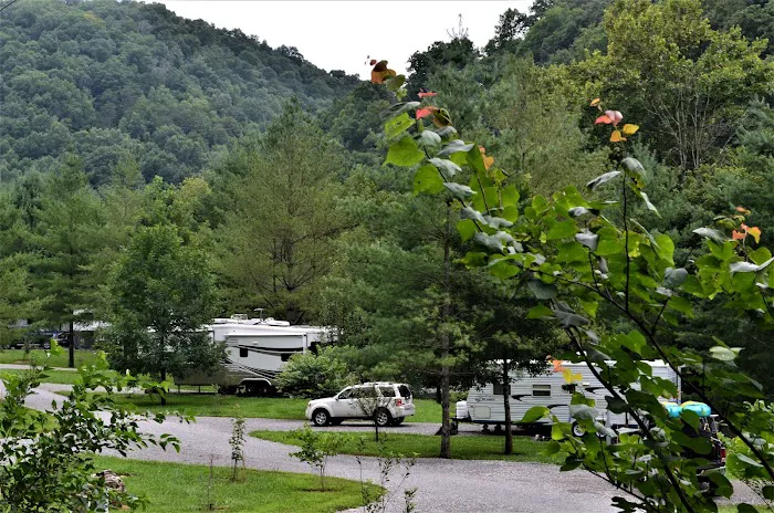 Mountain Pass Campground Picture 7
