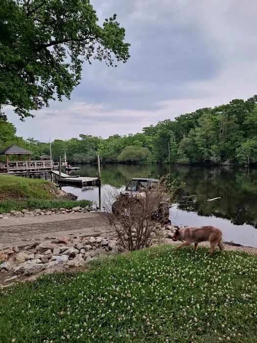 Jeffcoat's Black Water Campground Picture 2