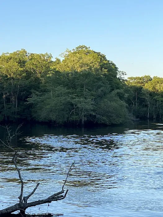 Jeffcoat's Black Water Campground Picture 5