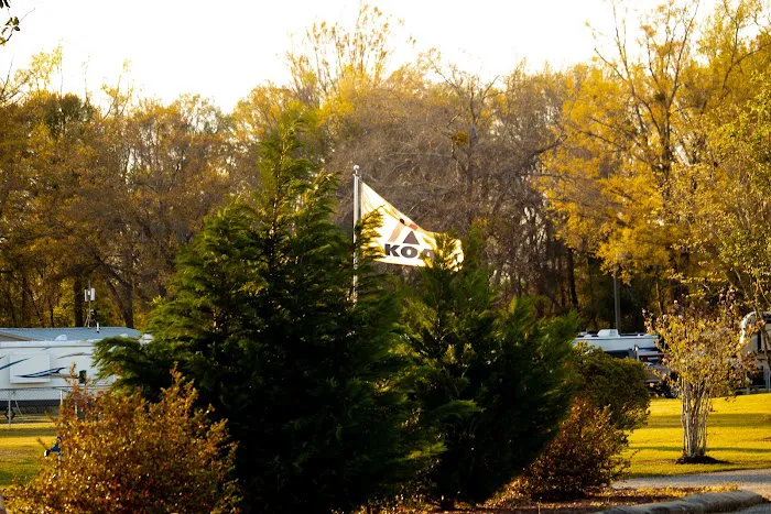 Lumberton / I-95 KOA Journey Picture 9