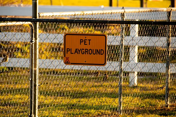 Lumberton / I-95 KOA Journey Picture 5