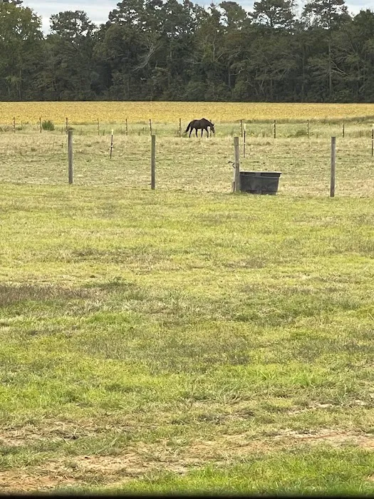 New Height Acres Picture 9