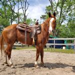 New Height Acres