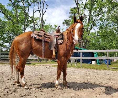 New Height Acres