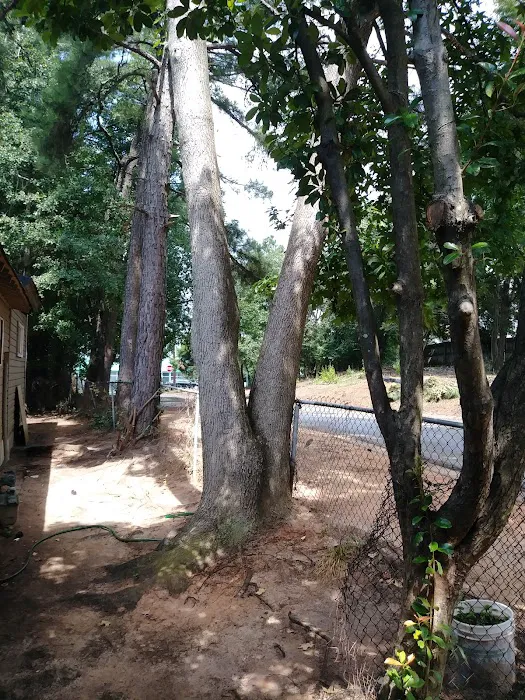 Clayton Village Mobile Home Park Picture 10
