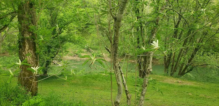 Rockcastle Riverside Picture 7