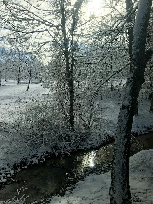 Walnut Meadow RV Park Picture 9