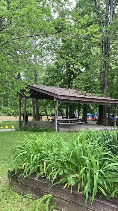 Robinson's Whitewater Campground Picture 8
