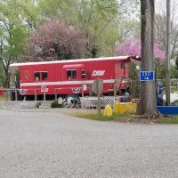 Robinson's Whitewater Campground ico