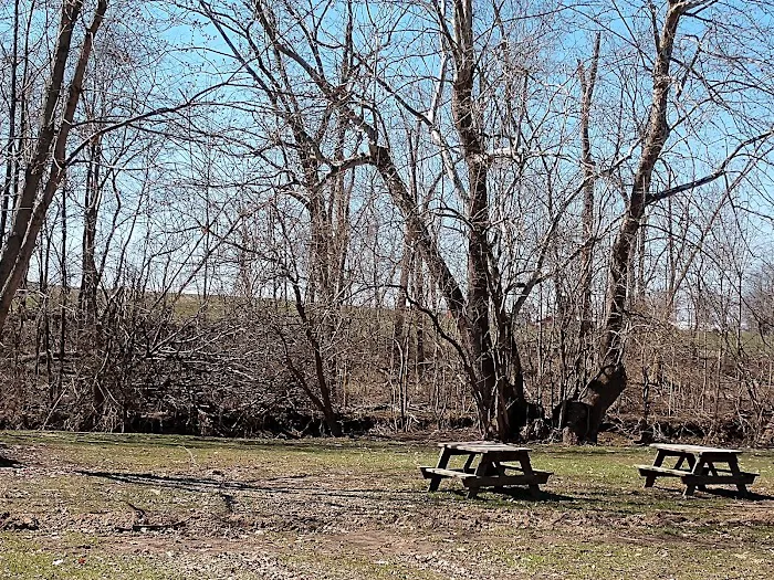 Thorntree Lake Mobile Home Prk Picture 4