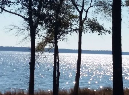 Minnesott Beach MHP