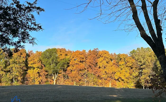 Gassaway Lake Campground Picture 6