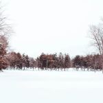 CERA Sports Park & Campground