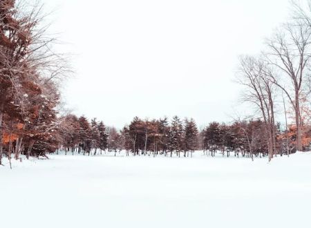 CERA Sports Park & Campground