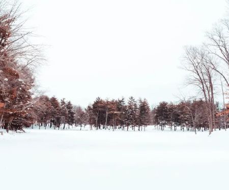 CERA Sports Park & Campground