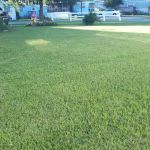 Royal Palms Mobile Home Park