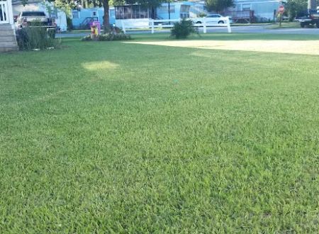 Royal Palms Mobile Home Park