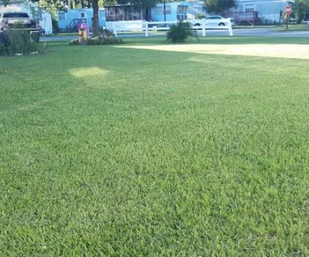 Royal Palms Mobile Home Park