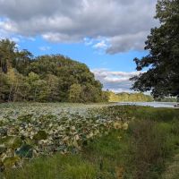 Hardy Lake Wooster Campground ico