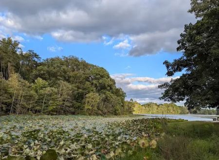 Hardy Lake Wooster Campground