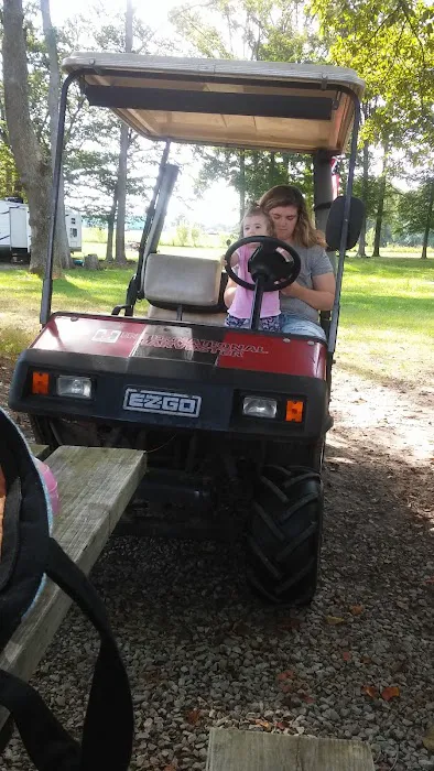 Moose Park Campground Picture 2