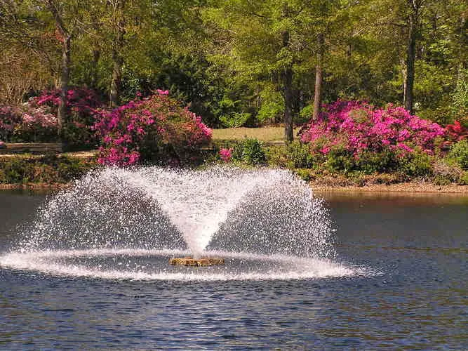 Coastal Estates Picture 10
