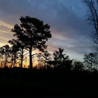 Wood Creek RV Park ico
