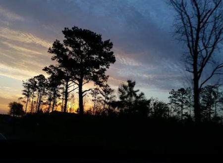 Wood Creek RV Park