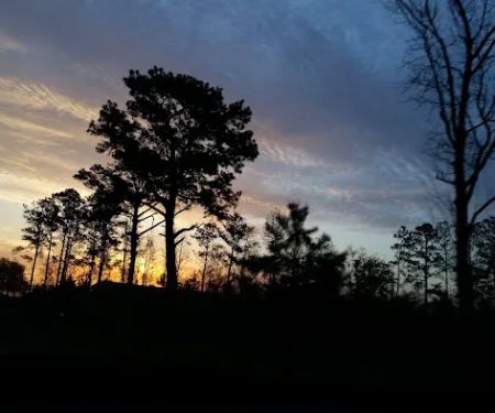 Wood Creek RV Park