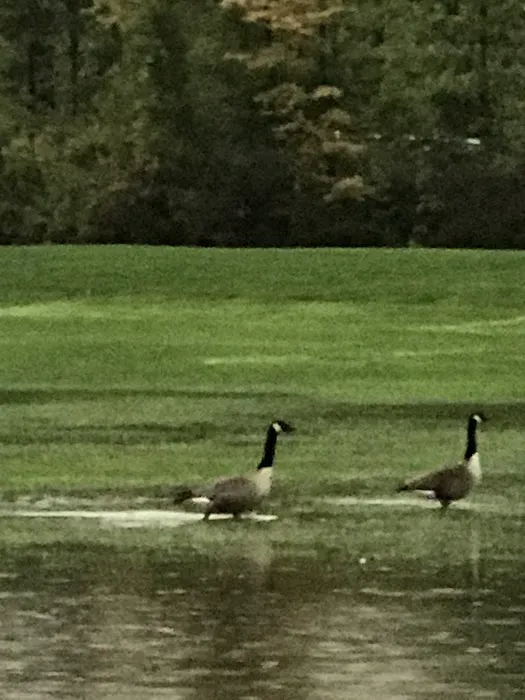 Lake of Dreams Campground Picture 3