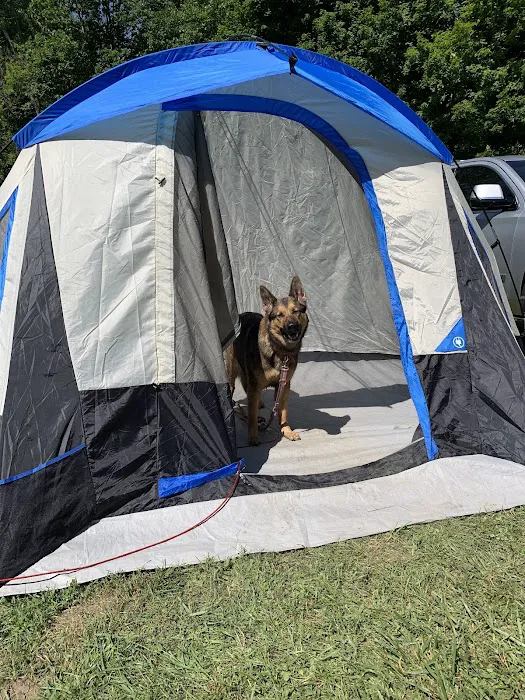 Ruby Campground Picture 5