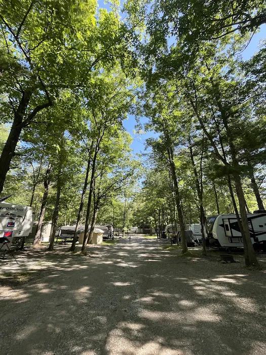 Thousand Trails St. Clair Picture 1