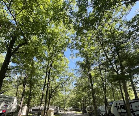 Thousand Trails St. Clair