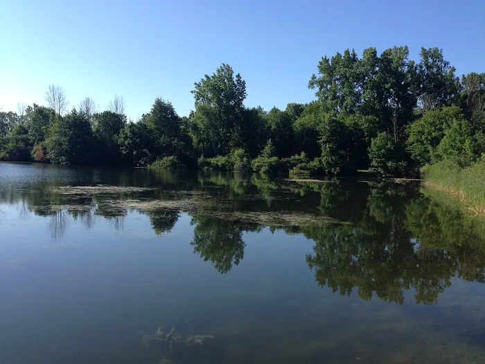 Moose Lake Campground Picture 5