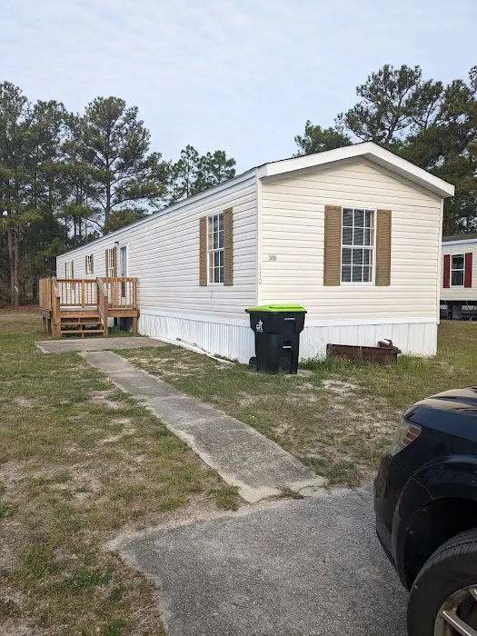 Pines Picture 6