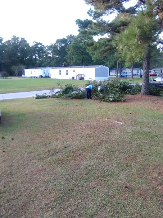Turtle Cove mobile home park Picture 1