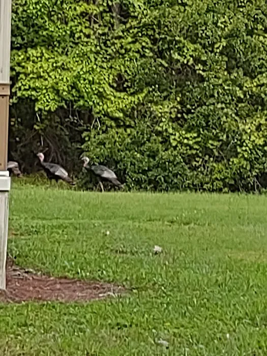 Turtle Cove mobile home park Picture 6