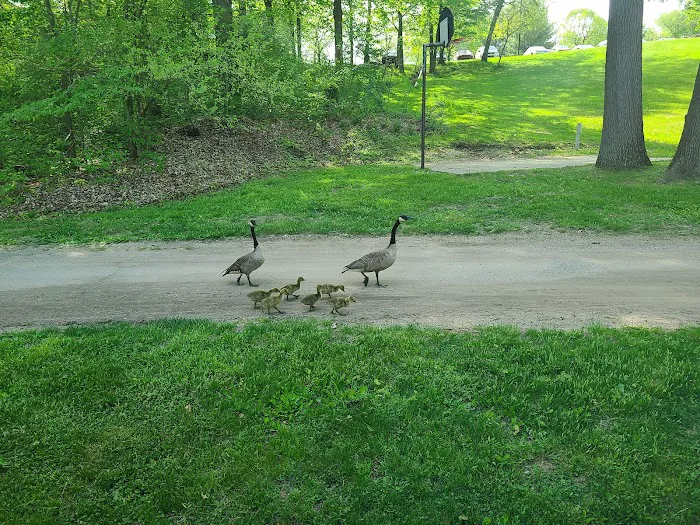 Kalamazoo Resort Picture 2