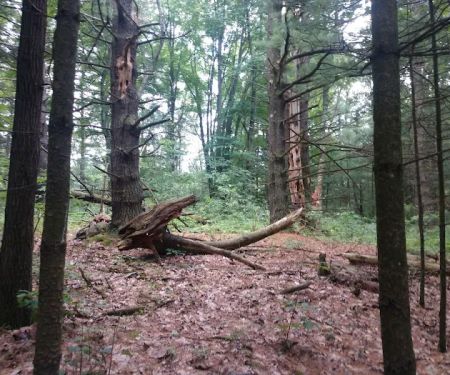 Yankee Springs Deep Lake Rustic Campground