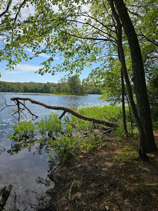 Welcome Woods Campground Picture 4