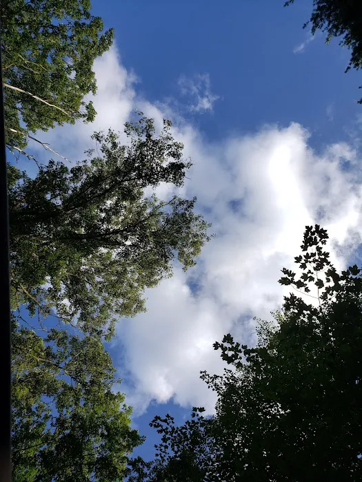Long Lake Outdoor Center Picture 8