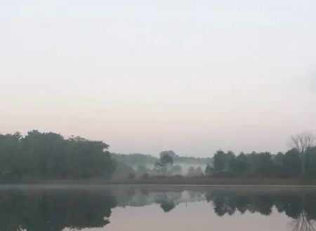 Daisy Park Campground at Son-Life Camp