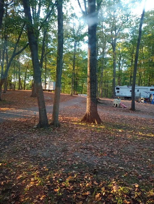 Forest Ridge Family Campground Picture 9